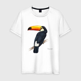 Мужская футболка хлопок с принтом Тукан в Петрозаводске, 100% хлопок | прямой крой, круглый вырез горловины, длина до линии бедер, слегка спущенное плечо. | птица | птицы | с птицей | тукан | экзотика
