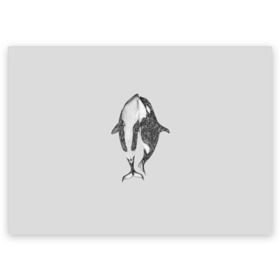 Поздравительная открытка с принтом Киты в Петрозаводске, 100% бумага | плотность бумаги 280 г/м2, матовая, на обратной стороне линовка и место для марки
 | арт | касатка | касатки | кит | море | океан | рисунок | узор