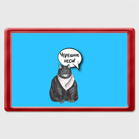 Магнит 45*70 с принтом Толстый кот в Петрозаводске, Пластик | Размер: 78*52 мм; Размер печати: 70*45 | еда | кот | кушать | мем | черешня