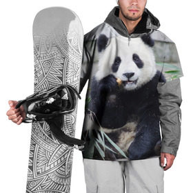 Накидка на куртку 3D с принтом Большая панда в Петрозаводске, 100% полиэстер |  | бамбук | белый | джунгли | дикое | животное | китай | лес | медведь | черный