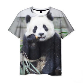 Мужская футболка 3D с принтом Большая панда в Петрозаводске, 100% полиэфир | прямой крой, круглый вырез горловины, длина до линии бедер | бамбук | белый | джунгли | дикое | животное | китай | лес | медведь | черный