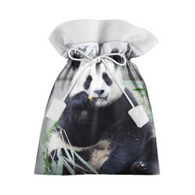 Подарочный 3D мешок с принтом Большая панда в Петрозаводске, 100% полиэстер | Размер: 29*39 см | Тематика изображения на принте: бамбук | белый | джунгли | дикое | животное | китай | лес | медведь | черный