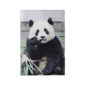 Обложка для паспорта матовая кожа с принтом Большая панда в Петрозаводске, натуральная матовая кожа | размер 19,3 х 13,7 см; прозрачные пластиковые крепления | бамбук | белый | джунгли | дикое | животное | китай | лес | медведь | черный