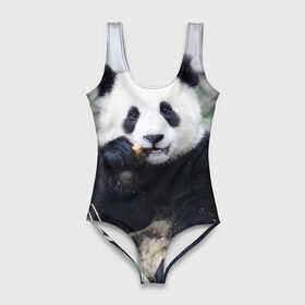 Купальник-боди 3D с принтом Большая панда в Петрозаводске, 82% полиэстер, 18% эластан | Круглая горловина, круглый вырез на спине | Тематика изображения на принте: бамбук | белый | джунгли | дикое | животное | китай | лес | медведь | черный