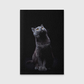 Обложка для паспорта матовая кожа с принтом Милый котик в Петрозаводске, натуральная матовая кожа | размер 19,3 х 13,7 см; прозрачные пластиковые крепления | Тематика изображения на принте: кот | котенок | кошка | милый | пушистый | черный