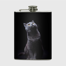 Фляга с принтом Милый котик в Петрозаводске, металлический корпус | емкость 0,22 л, размер 125 х 94 мм. Виниловая наклейка запечатывается полностью | Тематика изображения на принте: кот | котенок | кошка | милый | пушистый | черный