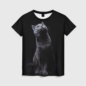 Женская футболка 3D с принтом Милый котик в Петрозаводске, 100% полиэфир ( синтетическое хлопкоподобное полотно) | прямой крой, круглый вырез горловины, длина до линии бедер | кот | котенок | кошка | милый | пушистый | черный