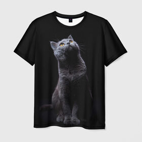 Мужская футболка 3D с принтом Милый котик в Петрозаводске, 100% полиэфир | прямой крой, круглый вырез горловины, длина до линии бедер | кот | котенок | кошка | милый | пушистый | черный