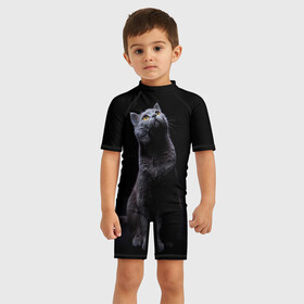 Детский купальный костюм 3D с принтом Милый котик в Петрозаводске, Полиэстер 85%, Спандекс 15% | застежка на молнии на спине | кот | котенок | кошка | милый | пушистый | черный