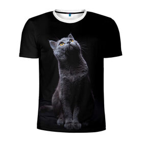 Мужская футболка 3D спортивная с принтом Милый котик в Петрозаводске, 100% полиэстер с улучшенными характеристиками | приталенный силуэт, круглая горловина, широкие плечи, сужается к линии бедра | кот | котенок | кошка | милый | пушистый | черный