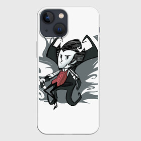 Чехол для iPhone 13 mini с принтом Dont starve в Петрозаводске,  |  | 