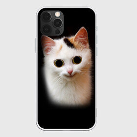 Чехол для iPhone 12 Pro Max с принтом Котик в Петрозаводске, Силикон |  | глаза большие | кот | котенок | кошка | мордочка | смешной