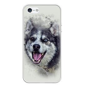 Чехол для iPhone 5/5S матовый с принтом Хаска в Петрозаводске, Силикон | Область печати: задняя сторона чехла, без боковых панелей | животные | пес | собака | хаска