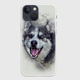 Чехол для iPhone 13 mini с принтом Хаска в Петрозаводске,  |  | животные | пес | собака | хаска