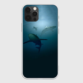 Чехол для iPhone 12 Pro Max с принтом Акулы в Петрозаводске, Силикон |  | Тематика изображения на принте: море | океан | подводный мир | рыба | хищник