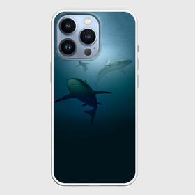 Чехол для iPhone 13 Pro с принтом Акулы в Петрозаводске,  |  | море | океан | подводный мир | рыба | хищник