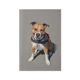 Обложка для паспорта матовая кожа с принтом Стаффордшир в Петрозаводске, натуральная матовая кожа | размер 19,3 х 13,7 см; прозрачные пластиковые крепления | животные | пес | питбуль | природа | собака | стафф | стаффордшир | стаффордширский терьер