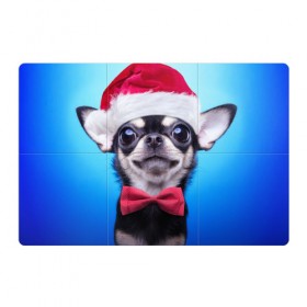 Магнитный плакат 3Х2 с принтом рождество в Петрозаводске, Полимерный материал с магнитным слоем | 6 деталей размером 9*9 см | Тематика изображения на принте: dog | happy new year | бантик | взгляд | глаза | новый год | пинчер | праздник | санта клаус | собака | той терьер