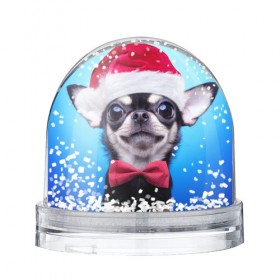 Водяной шар с принтом рождество в Петрозаводске, Пластик | Изображение внутри шара печатается на глянцевой фотобумаге с двух сторон | dog | happy new year | бантик | взгляд | глаза | новый год | пинчер | праздник | санта клаус | собака | той терьер