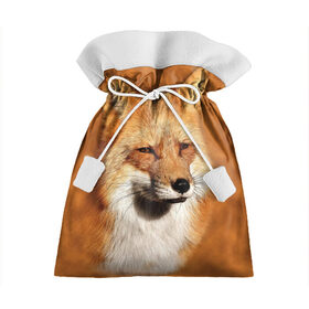 Подарочный 3D мешок с принтом Лисичка в Петрозаводске, 100% полиэстер | Размер: 29*39 см | животные | зверь | лиса | лисичка | природа | рыжая | фыр