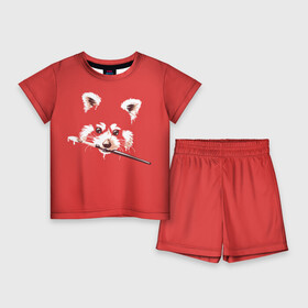 Детский костюм с шортами 3D с принтом Красная панда в Петрозаводске,  |  | енот | кисть | лиса | малая панда | художник