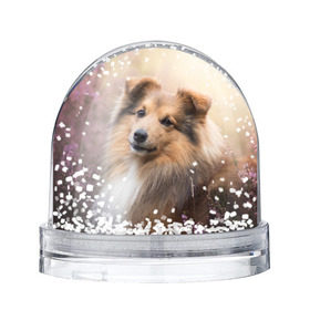 Снежный шар с принтом Шелти в Петрозаводске, Пластик | Изображение внутри шара печатается на глянцевой фотобумаге с двух сторон | dog | взгляд | колли | собака
