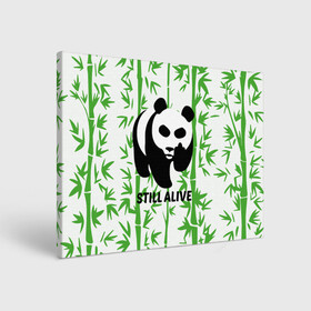 Холст прямоугольный с принтом Still Alive в Петрозаводске, 100% ПВХ |  | alive | bamboo | green | greenpeace | panga | peace | still | бамбук | грин | гринпис | живая | живой | зеленый | мир | панда | панды | пис