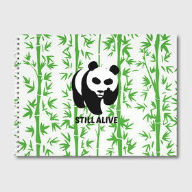 Альбом для рисования с принтом Still Alive в Петрозаводске, 100% бумага
 | матовая бумага, плотность 200 мг. | alive | bamboo | green | greenpeace | panga | peace | still | бамбук | грин | гринпис | живая | живой | зеленый | мир | панда | панды | пис