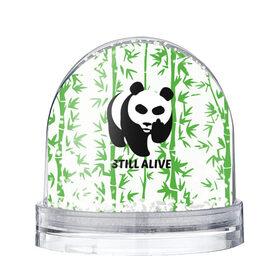 Снежный шар с принтом Still Alive в Петрозаводске, Пластик | Изображение внутри шара печатается на глянцевой фотобумаге с двух сторон | alive | bamboo | green | greenpeace | panga | peace | still | бамбук | грин | гринпис | живая | живой | зеленый | мир | панда | панды | пис