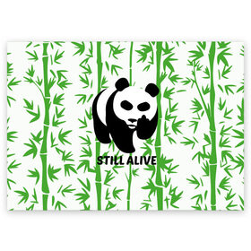 Поздравительная открытка с принтом Still Alive в Петрозаводске, 100% бумага | плотность бумаги 280 г/м2, матовая, на обратной стороне линовка и место для марки
 | Тематика изображения на принте: alive | bamboo | green | greenpeace | panga | peace | still | бамбук | грин | гринпис | живая | живой | зеленый | мир | панда | панды | пис