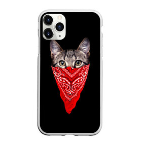 Чехол для iPhone 11 Pro матовый с принтом Gangsta Cat в Петрозаводске, Силикон |  | Тематика изображения на принте: cat | cats | gangsta | kitten | kitty | pussy | гангстер | кот | котенок | котик | котики | коты | котята | кошка | кошки | платок