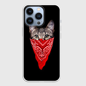 Чехол для iPhone 13 Pro с принтом Gangsta Cat в Петрозаводске,  |  | Тематика изображения на принте: cat | cats | gangsta | kitten | kitty | pussy | гангстер | кот | котенок | котик | котики | коты | котята | кошка | кошки | платок