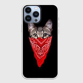 Чехол для iPhone 13 Pro Max с принтом Gangsta Cat в Петрозаводске,  |  | Тематика изображения на принте: cat | cats | gangsta | kitten | kitty | pussy | гангстер | кот | котенок | котик | котики | коты | котята | кошка | кошки | платок