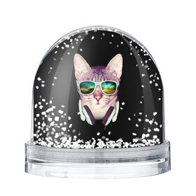 Водяной шар с принтом Кот в Наушниках в Петрозаводске, Пластик | Изображение внутри шара печатается на глянцевой фотобумаге с двух сторон | cat | cats | kitten | kitty | pussy | диджей | кот | котенок | котик | котики | коты | котята | кошка | кошки | наушники | очки