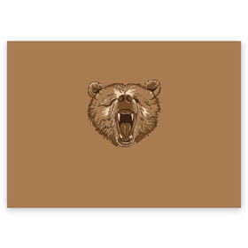 Поздравительная открытка с принтом Бурый Медведь в Петрозаводске, 100% бумага | плотность бумаги 280 г/м2, матовая, на обратной стороне линовка и место для марки
 | Тематика изображения на принте: bear | bears | brown | russia | russian | бурый | коричневый | косматый | лапы | медведи | медведь | россия | русский | хвост | хищник