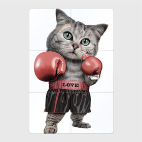 Магнитный плакат 2Х3 с принтом Кот боксёр в Петрозаводске, Полимерный материал с магнитным слоем | 6 деталей размером 9*9 см | Тематика изображения на принте: боец | бокс | боксёр | кот | котёнок | кошак | кошка | кулак | спорт | шорты