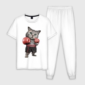 Мужская пижама хлопок с принтом Кот боксёр в Петрозаводске, 100% хлопок | брюки и футболка прямого кроя, без карманов, на брюках мягкая резинка на поясе и по низу штанин
 | Тематика изображения на принте: боец | бокс | боксёр | кот | котёнок | кошак | кошка | кулак | спорт | шорты