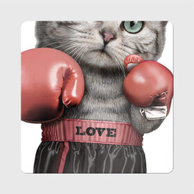Магнит виниловый Квадрат с принтом Кот боксёр в Петрозаводске, полимерный материал с магнитным слоем | размер 9*9 см, закругленные углы | боец | бокс | боксёр | кот | котёнок | кошак | кошка | кулак | спорт | шорты