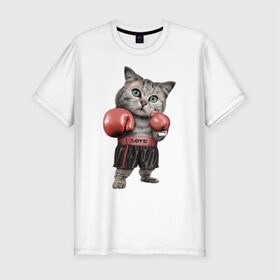 Мужская футболка премиум с принтом Кот боксёр в Петрозаводске, 92% хлопок, 8% лайкра | приталенный силуэт, круглый вырез ворота, длина до линии бедра, короткий рукав | боец | бокс | боксёр | кот | котёнок | кошак | кошка | кулак | спорт | шорты