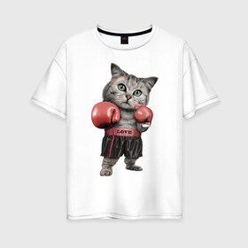 Женская футболка хлопок Oversize с принтом Кот боксёр в Петрозаводске, 100% хлопок | свободный крой, круглый ворот, спущенный рукав, длина до линии бедер
 | боец | бокс | боксёр | кот | котёнок | кошак | кошка | кулак | спорт | шорты