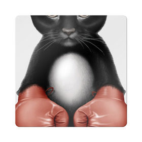 Магнит виниловый Квадрат с принтом Котёнок боксёр в Петрозаводске, полимерный материал с магнитным слоем | размер 9*9 см, закругленные углы | боец | бокс | боксёр | кот | котёнок | кошак | кошка | кулак | спорт | шорты