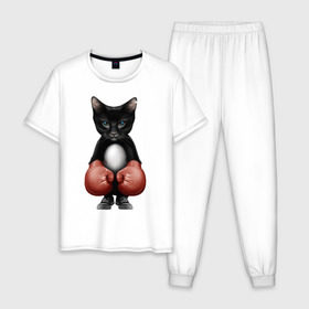 Мужская пижама хлопок с принтом Котёнок боксёр в Петрозаводске, 100% хлопок | брюки и футболка прямого кроя, без карманов, на брюках мягкая резинка на поясе и по низу штанин
 | Тематика изображения на принте: боец | бокс | боксёр | кот | котёнок | кошак | кошка | кулак | спорт | шорты