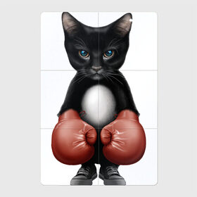 Магнитный плакат 2Х3 с принтом Котёнок боксёр в Петрозаводске, Полимерный материал с магнитным слоем | 6 деталей размером 9*9 см | Тематика изображения на принте: боец | бокс | боксёр | кот | котёнок | кошак | кошка | кулак | спорт | шорты