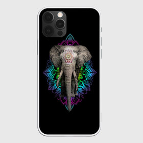 Чехол для iPhone 12 Pro Max с принтом Индийский Слон в Петрозаводске, Силикон |  | africa | elephant | elephants | india | ornament | pattern | skin | tusks | африка | бивни | индия | кожа | орнамент | слон | слоненок | слоник | слоники | слоны | слонята | узор | хобот