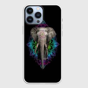 Чехол для iPhone 13 Pro Max с принтом Индийский Слон в Петрозаводске,  |  | africa | elephant | elephants | india | ornament | pattern | skin | tusks | африка | бивни | индия | кожа | орнамент | слон | слоненок | слоник | слоники | слоны | слонята | узор | хобот