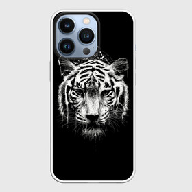 Чехол для iPhone 13 Pro с принтом Dark Tiger в Петрозаводске,  |  | Тематика изображения на принте: africa | creepy | dark | desert | predator | scary | tiger | tigers | африка | жуткий | мрачный | пустыня | страшный | тигр | тигренок | тигрица | тигрицы | тигры | тигрята | хищник