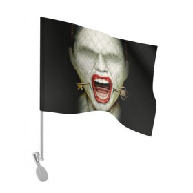 Флаг для автомобиля с принтом American Horror Story в Петрозаводске, 100% полиэстер | Размер: 30*21 см | ahs | american horror story | hotel | американская история ужасов | губы | ключ | лицо