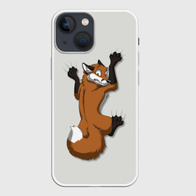 Чехол для iPhone 13 mini с принтом Лис Вцепился в Петрозаводске,  |  | Тематика изображения на принте: cute | fox | foxes | ginger | tail | вцепился | забавная | капаркается | лис | лиса | лисица | лисицы | лисичка | лисички | лисы | милая | рыжая | рыжие | смешная | фыр | хвост | хвосты