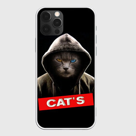 Чехол для iPhone 12 Pro Max с принтом Кот в Петрозаводске, Силикон |  | cat | глаза | животные | капюшон | кот | котенок | кошка | природа | хулиган