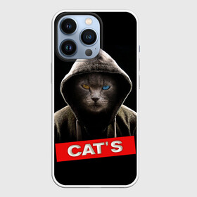 Чехол для iPhone 13 Pro с принтом Кот в Петрозаводске,  |  | cat | глаза | животные | капюшон | кот | котенок | кошка | природа | хулиган